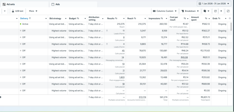 Paid Ads (PPC & Meta) Paid Ads