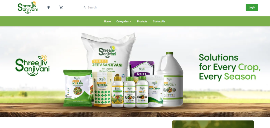 Website Design & Development Services