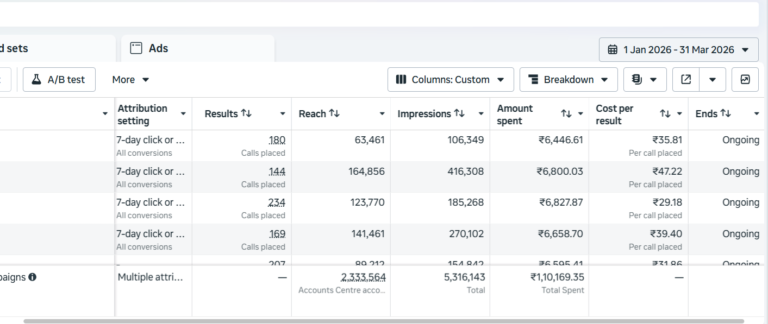 Paid Ads (PPC & Meta) Paid Ads